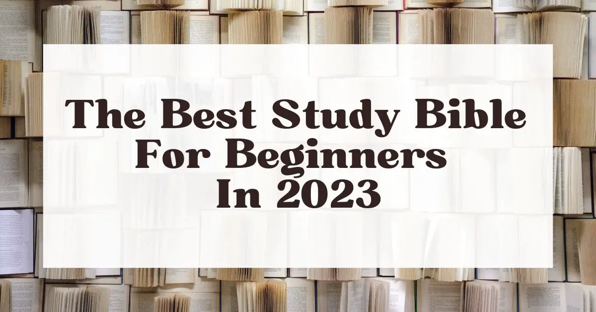 The Best Study Bible For Beginners In 2024 (Top 7 Options)