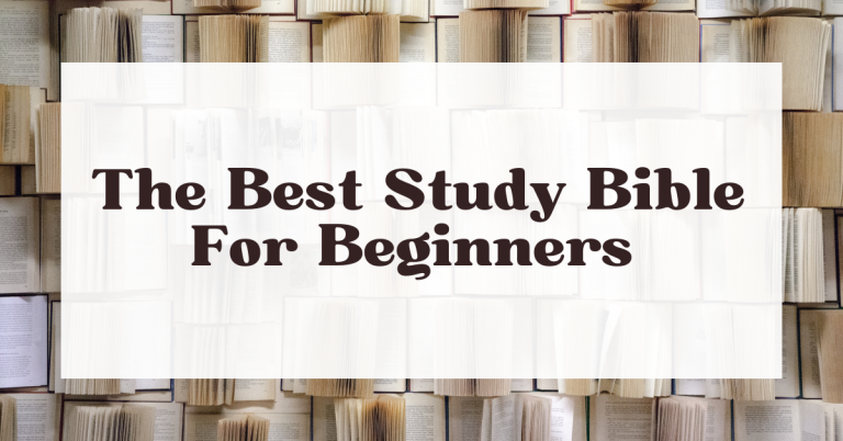 7 Best Study Bibles For Beginners In 2024 (Less Than $60)