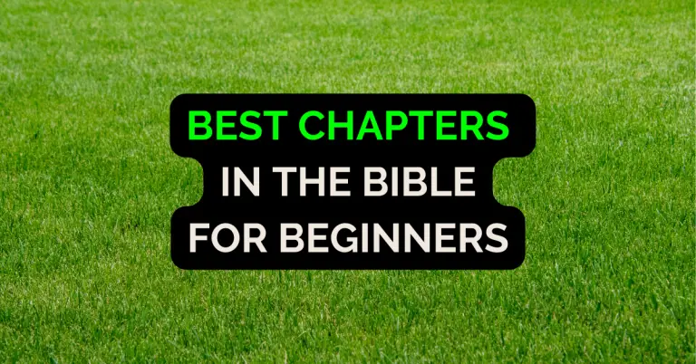 11 Best Chapters In The Bible For Beginners To Read (2024)